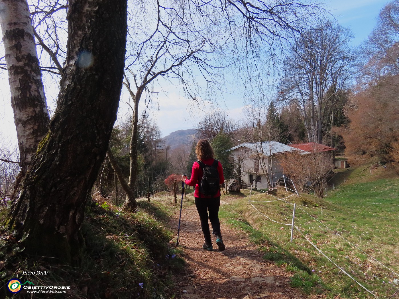 70 Casetta con altssimo faggio secolare.JPG